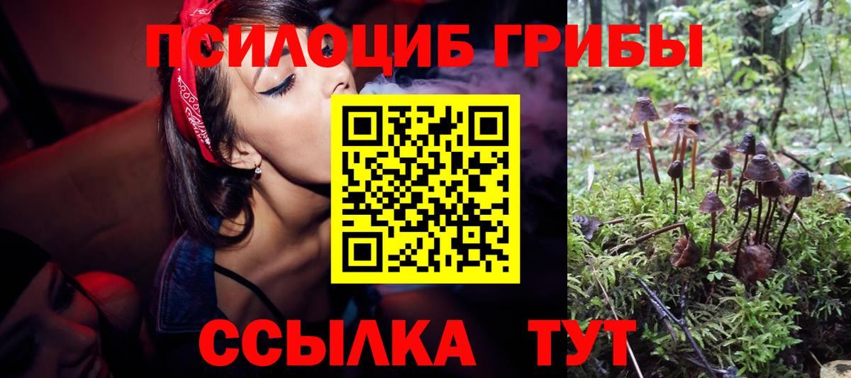 Ханты-Мансийск  Псилоцибиновые грибы Psilocybe  Галлюциногенные грибы прущие грибы  как найти закладки  Вход с VPN 